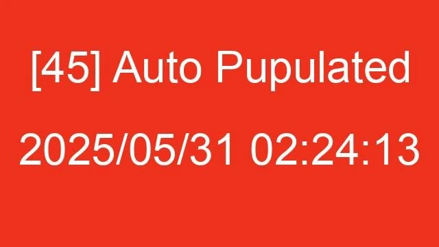 [45] Auto 2025/05/31 02:24:13