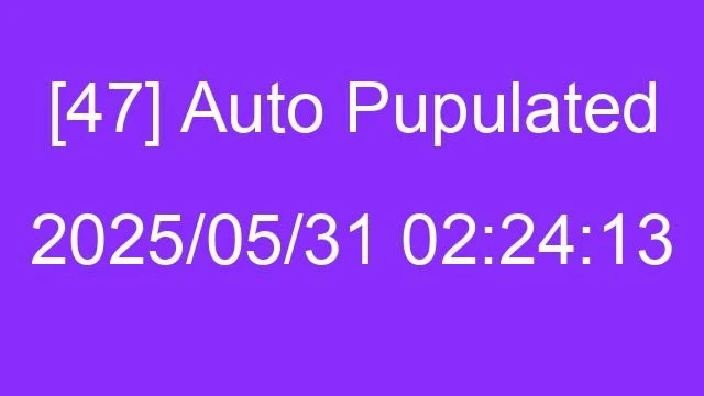 [47] Auto 2025/05/31 02:24:13