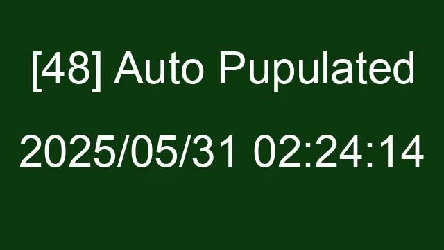 [48] Auto 2025/05/31 02:24:14