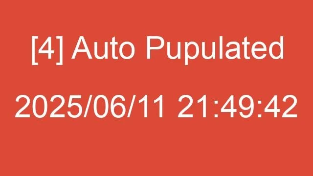 [4] Auto 2025/06/11 21:49:42
