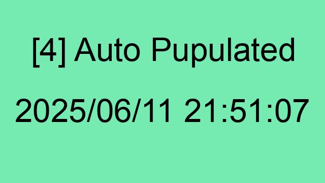 [4] Auto 2025/06/11 21:51:07