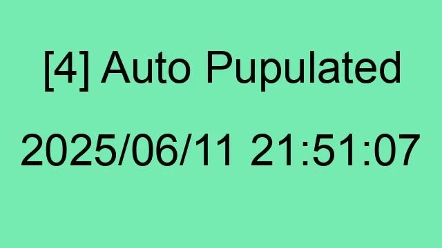 [4] Auto 2025/06/11 21:51:07