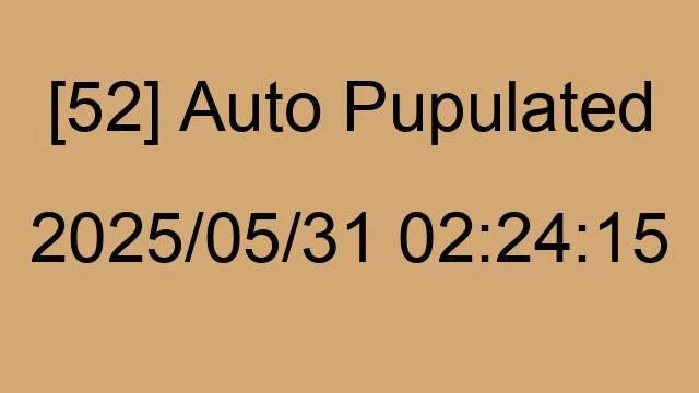[52] Auto 2025/05/31 02:24:15