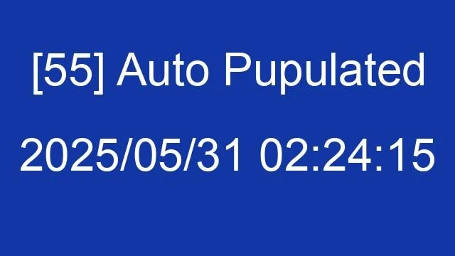 [55] Auto 2025/05/31 02:24:15