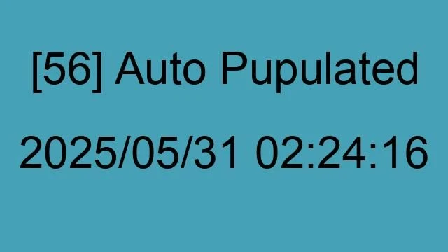 [56] Auto 2025/05/31 02:24:16
