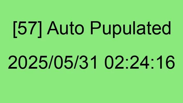 [57] Auto 2025/05/31 02:24:16