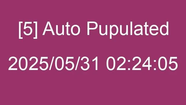 [5] Auto 2025/05/31 02:24:05