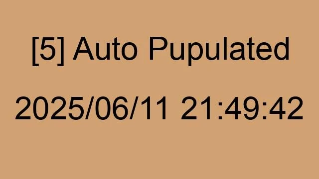 [5] Auto 2025/06/11 21:49:42