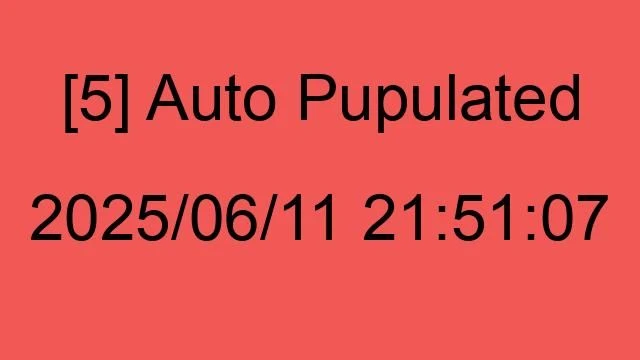 [5] Auto 2025/06/11 21:51:07