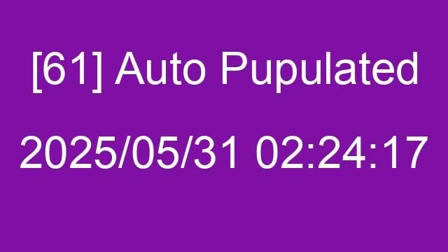 [61] Auto 2025/05/31 02:24:17