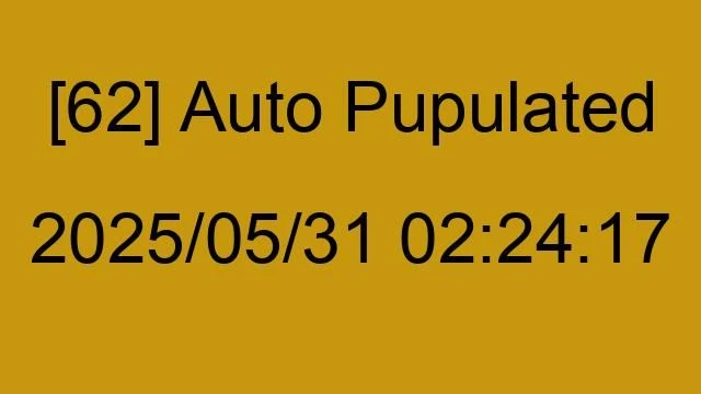 [62] Auto 2025/05/31 02:24:17