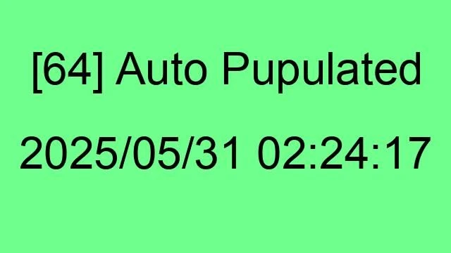 [64] Auto 2025/05/31 02:24:17