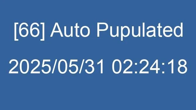 [66] Auto 2025/05/31 02:24:18