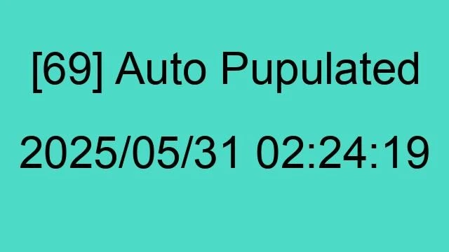 [69] Auto 2025/05/31 02:24:19