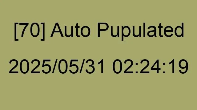 [70] Auto 2025/05/31 02:24:19