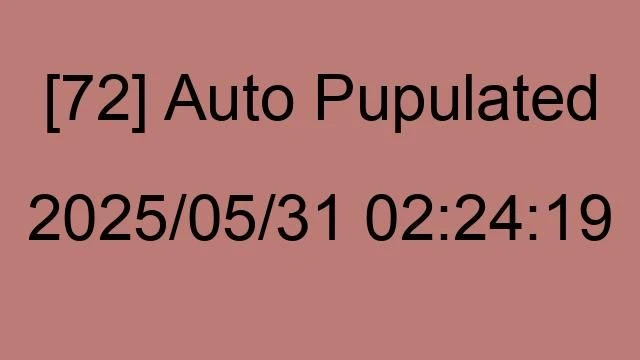 [72] Auto 2025/05/31 02:24:19