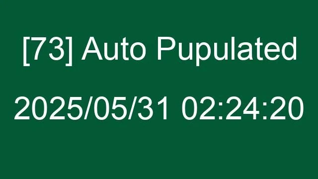 [73] Auto 2025/05/31 02:24:20
