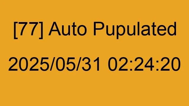 [77] Auto 2025/05/31 02:24:20