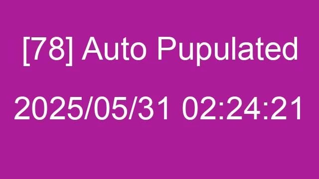 [78] Auto 2025/05/31 02:24:21