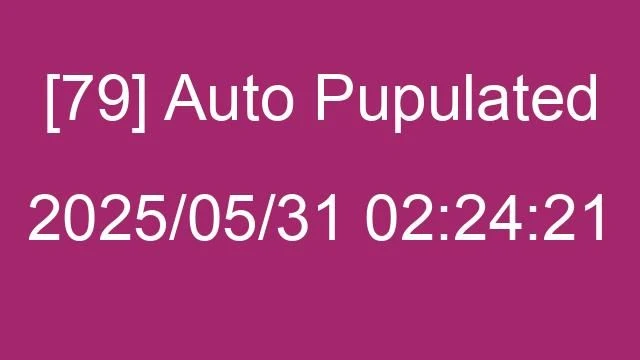 [79] Auto 2025/05/31 02:24:21