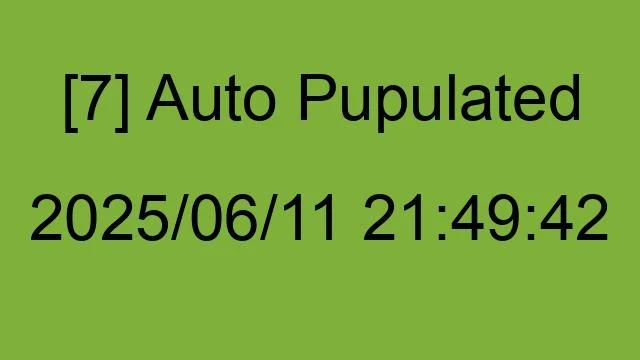 [7] Auto 2025/06/11 21:49:42