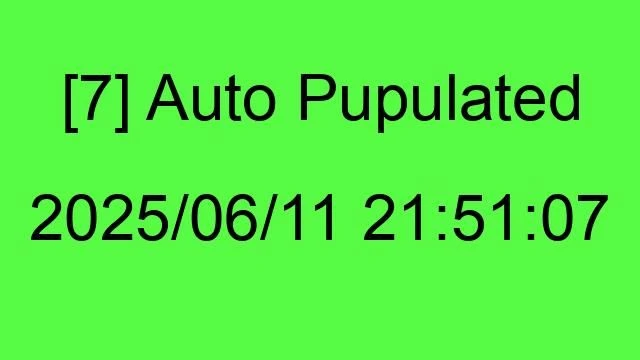 [7] Auto 2025/06/11 21:51:07