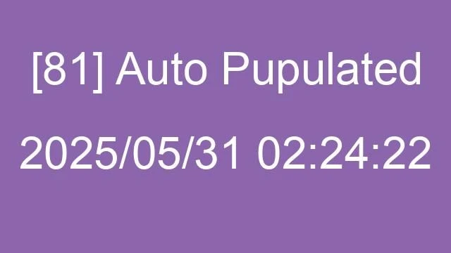 [81] Auto 2025/05/31 02:24:22