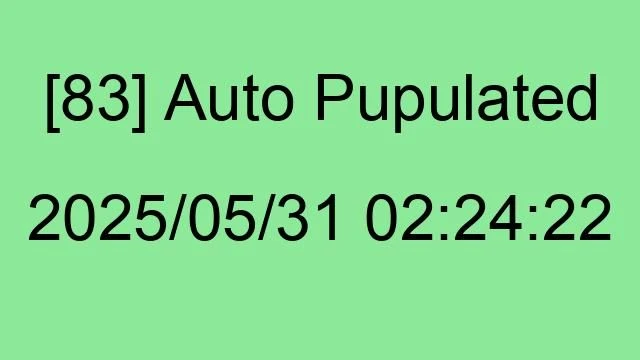 [83] Auto 2025/05/31 02:24:22