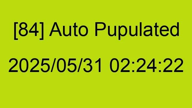 [84] Auto 2025/05/31 02:24:22