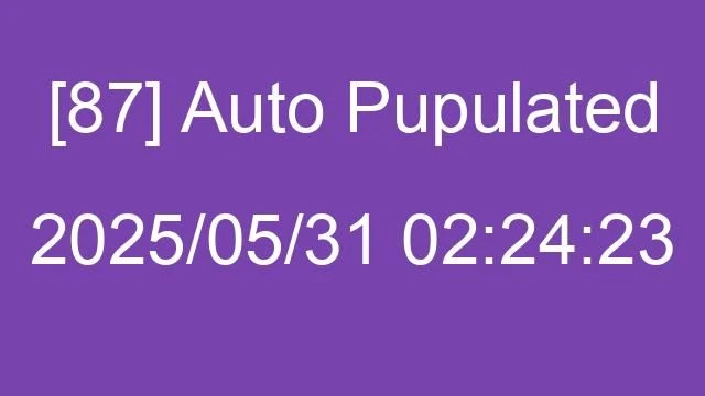 [87] Auto 2025/05/31 02:24:23