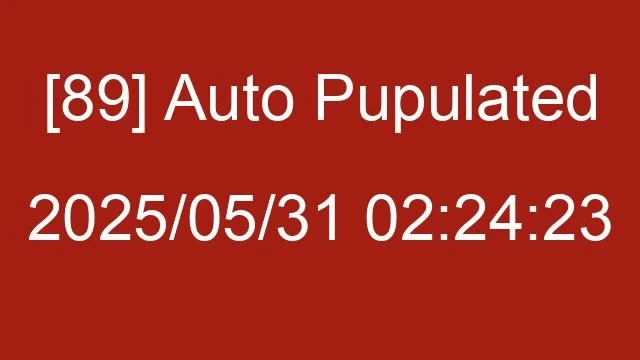 [89] Auto 2025/05/31 02:24:23