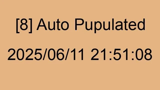 [8] Auto 2025/06/11 21:51:08