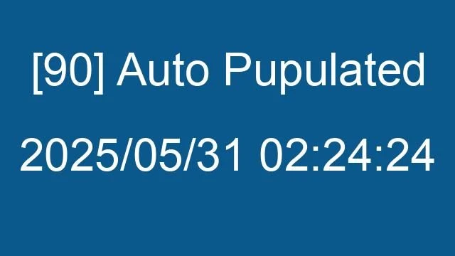 [90] Auto 2025/05/31 02:24:24