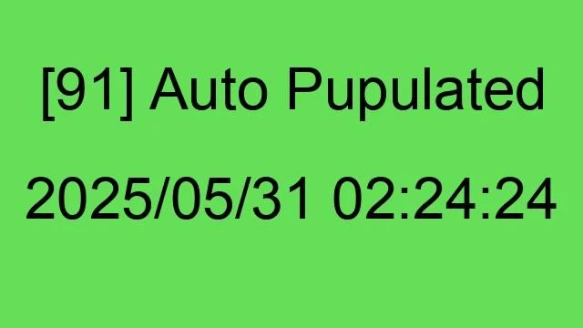 [91] Auto 2025/05/31 02:24:24