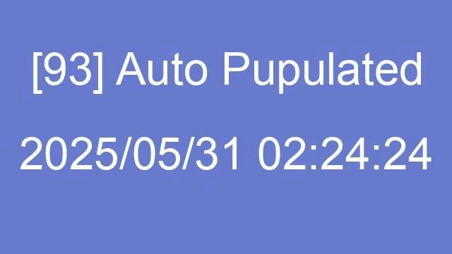 [93] Auto 2025/05/31 02:24:24