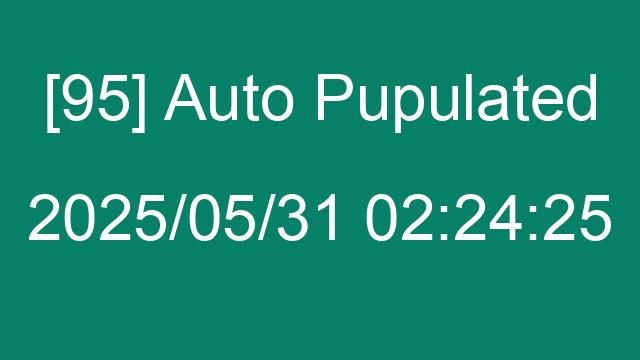 [95] Auto 2025/05/31 02:24:25