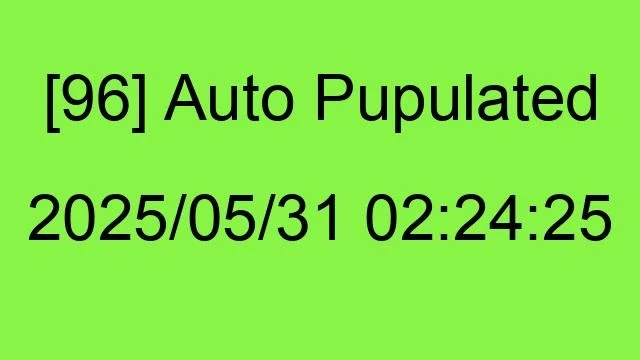[96] Auto 2025/05/31 02:24:25