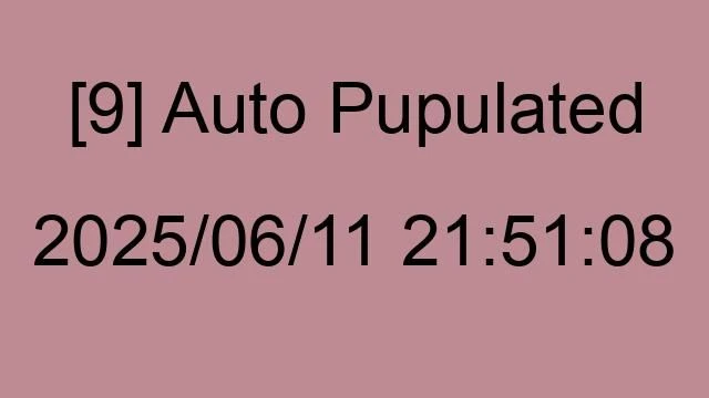 [9] Auto 2025/06/11 21:51:08